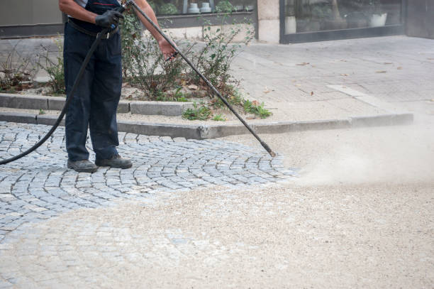 Best Factory Floor Cleaning  in Beechwood, MS