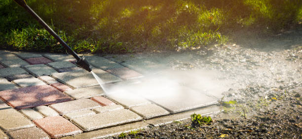 Best Sidewalk and Walkway Cleaning  in Beechwood, MS