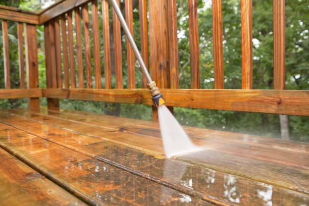 Best Building Exterior Washing  in Beechwood, MS